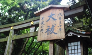 „Nihongo ga hanashimasen…“ | travel diary