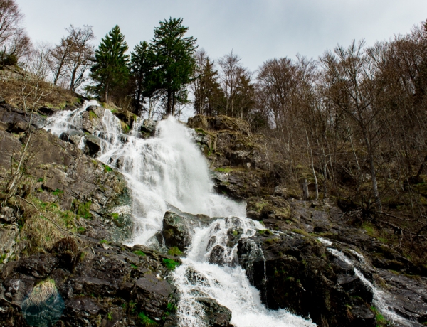 Todtnauer Wasserfall | Schwarzwald