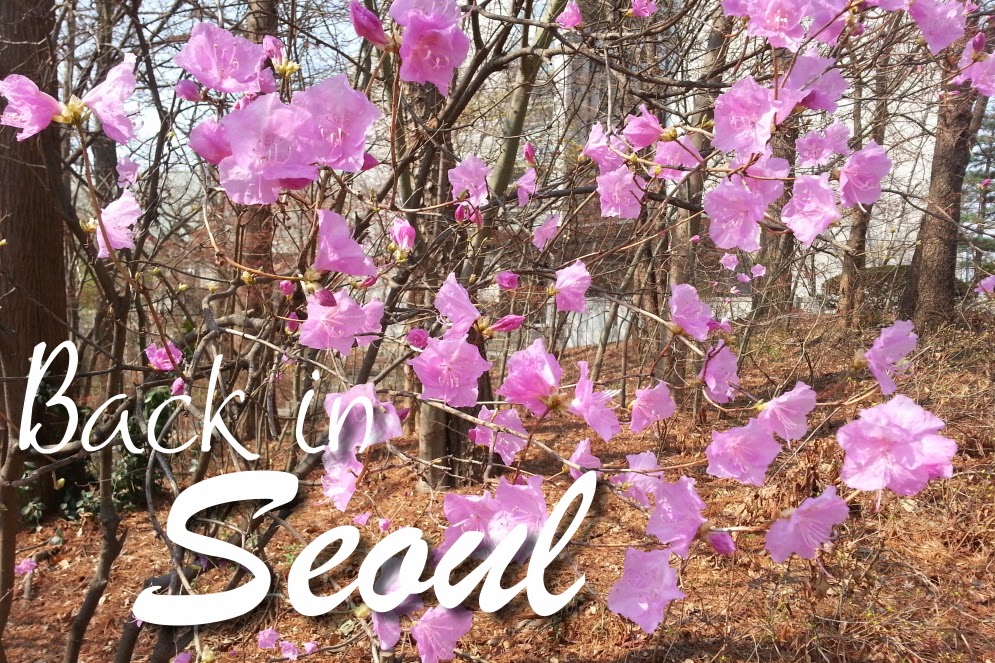 {Diary} BACK IN SEOUL