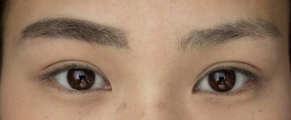 Perfect Eyebrow Styler