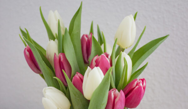 5 Rettungsringe bei akutem Stress | #Selbstliebe