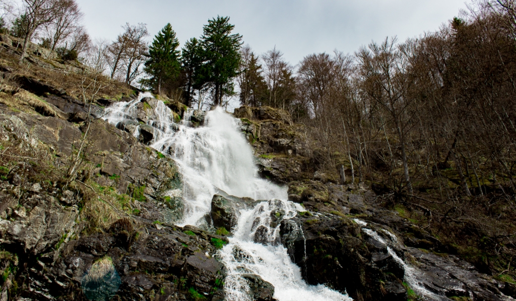 Todtnauer Wasserfall | Schwarzwald