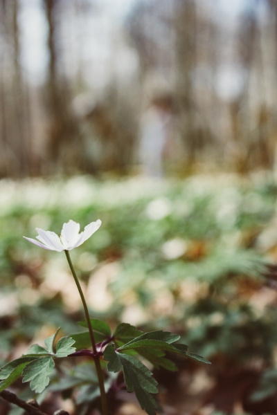 Frühlingsgefühle Am Ende wird alles gut