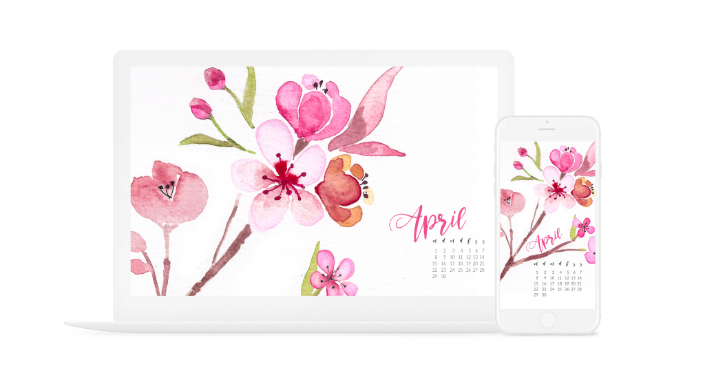 Kirschblüten Frühling Cherry Blossoms Wallpaper